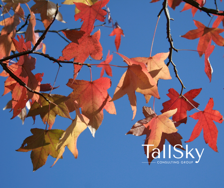 Blog 2025 10 27 Notice What Matters Toolbox image for Ai HR blog