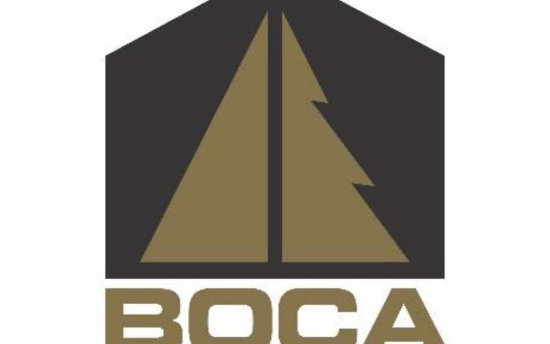 Junior or Intermediate Structural Engineers